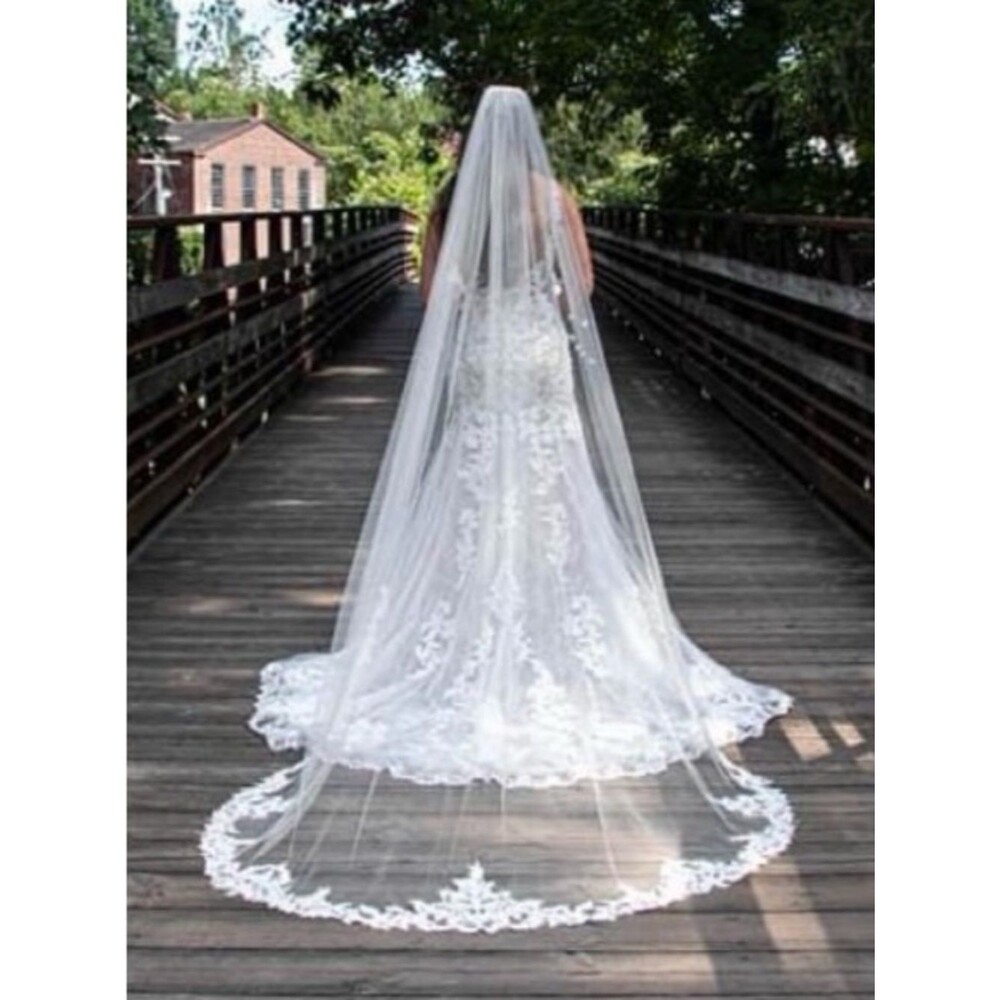 Elegant Lace-Edged White Bridal Veil with Cathedral Train